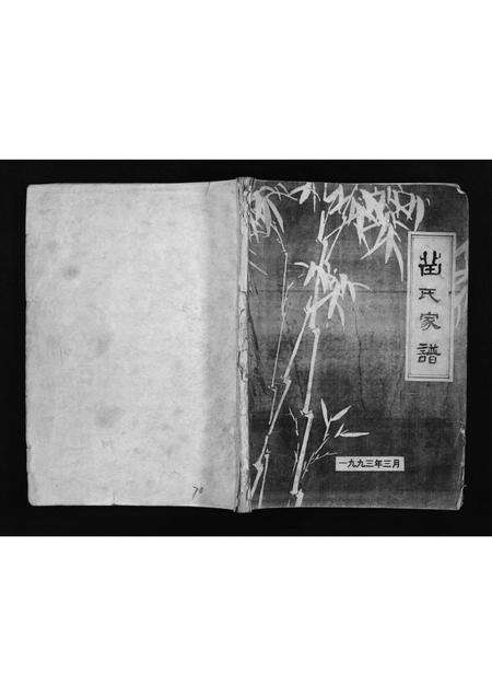 河南苗氏族谱-苗氏家谱 [不分卷].pdf电子版