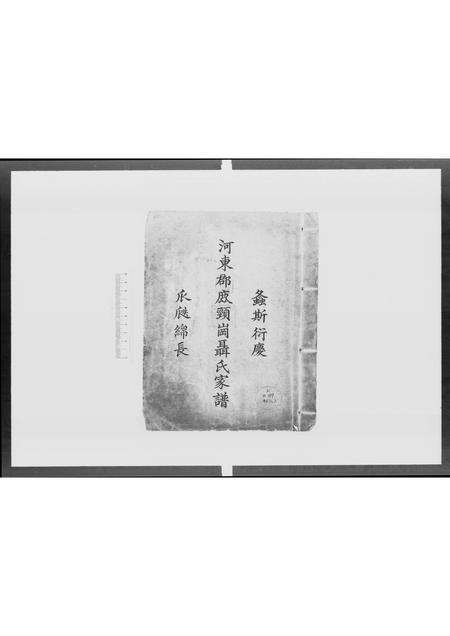 广东聂氏族谱-河东郡鹿颈岗聂氏家谱 [不分卷].pdf电子版缩略图