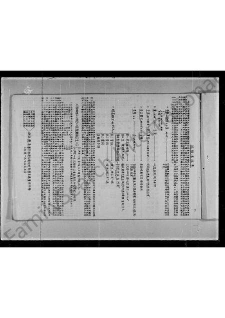 广东沈氏族谱-宝安县观澜乡沈氏族谱.pdf电子版缩略图