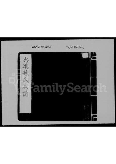 广东孙氏族谱-孙氏族谱 _ 忠埧.pdf电子版缩略图
