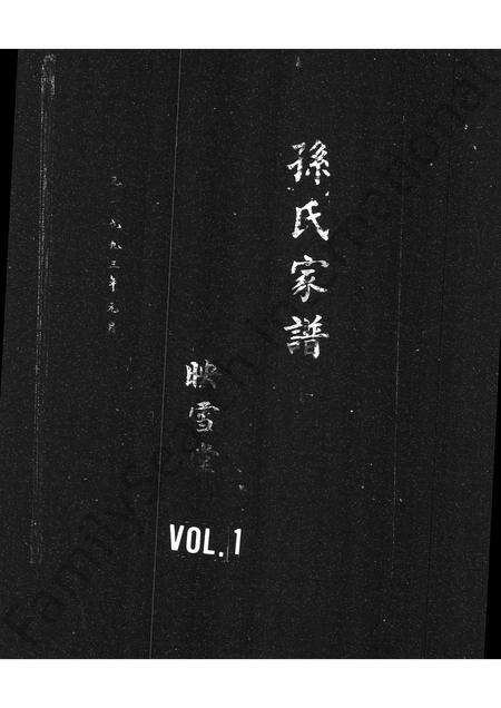 河南孙氏族谱-孙氏家谱 _ 映雪堂.pdf电子版缩略图