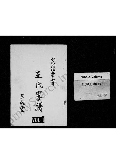 河南王氏族谱-王氏家谱 _ [贯道口].pdf电子版缩略图