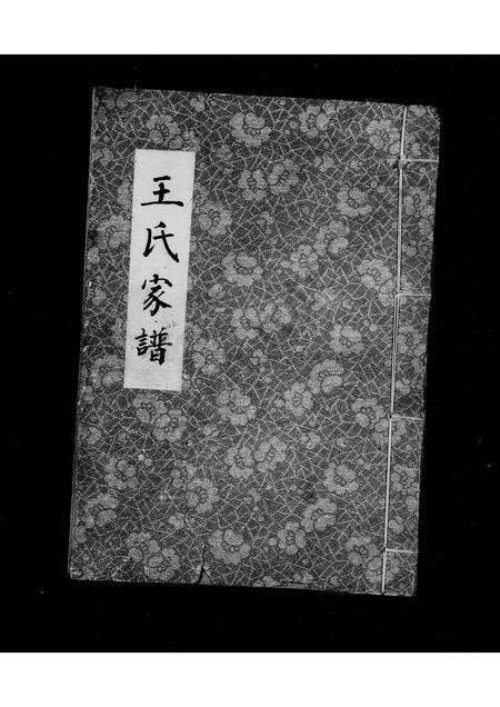 河南王氏族谱-王氏族谱 _ 三槐堂.pdf电子版缩略图