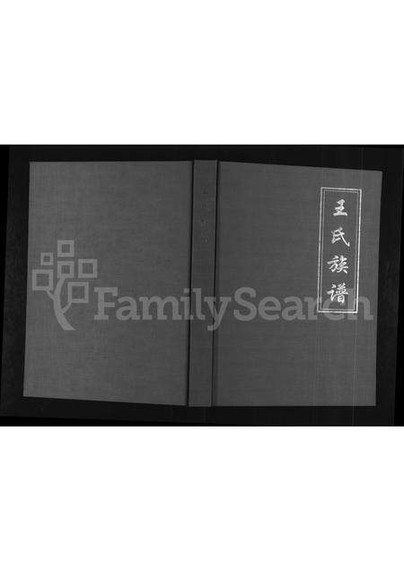 河南王氏族谱-临淇厚朴王氏族谱.pdf电子版缩略图