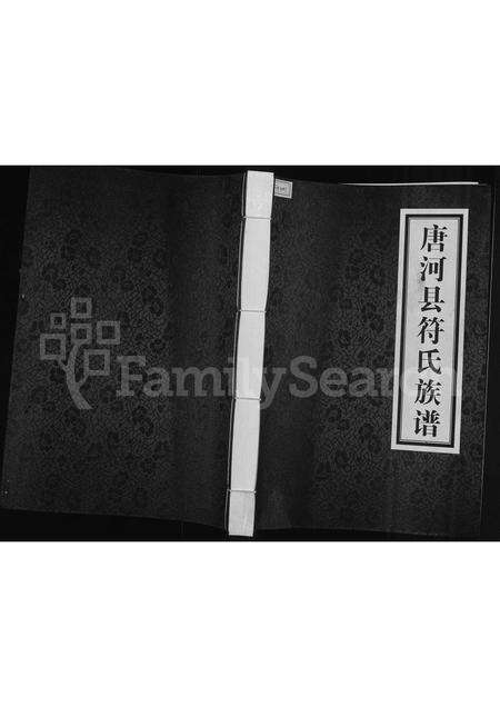 河南未知族谱-唐河县符氏族谱.pdf电子版缩略图