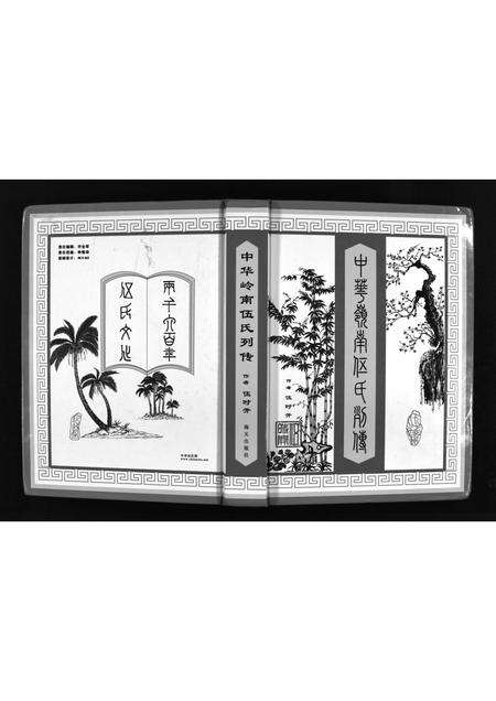 广东伍氏族谱-中华岭南伍氏列传 [不分卷].pdf电子版缩略图