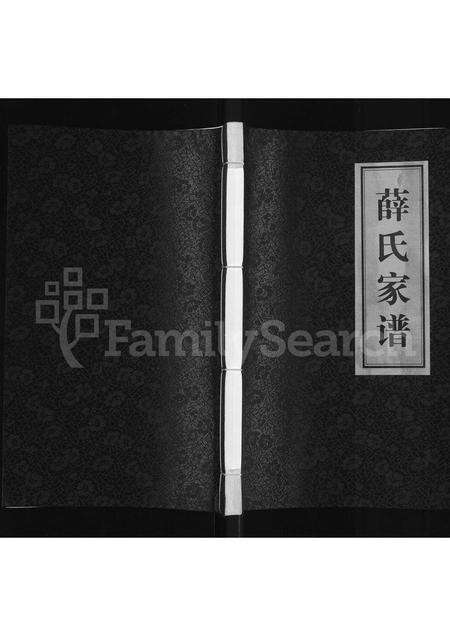 河南薛氏族谱-薛氏家谱.pdf电子版缩略图
