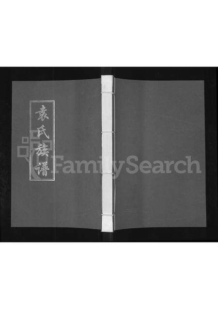 河南袁氏族谱-袁氏族谱.pdf电子版缩略图