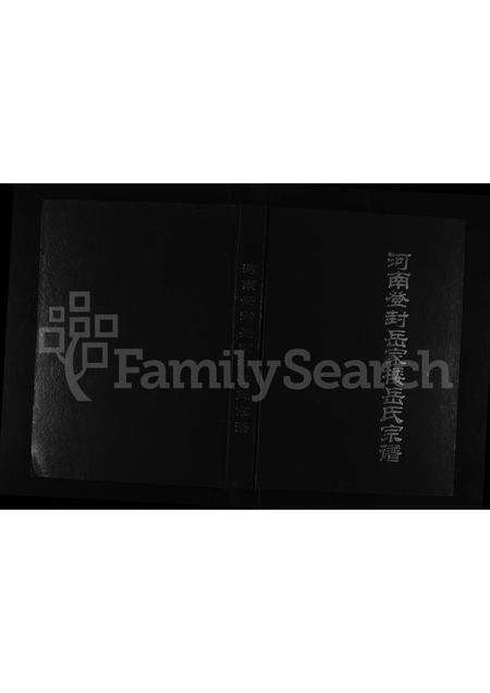 河南岳氏族谱-河南登封岳家楼岳氏宗谱.pdf电子版缩略图