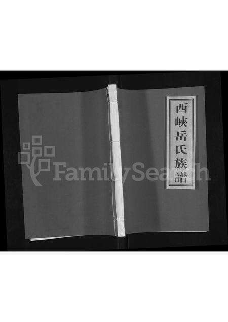 河南岳氏族谱-西峡岳氏族谱.pdf电子版缩略图