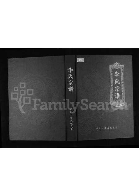 河南李氏族谱-李氏宗谱 _ 李氏,李大畈支系.pdf电子版缩略图