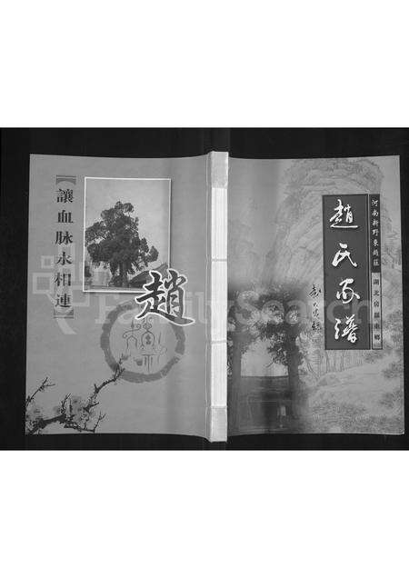 河南赵氏族谱-赵氏家谱 _ 河南新野东赵庄, 湖北房县东乡.pdf电子版缩略图