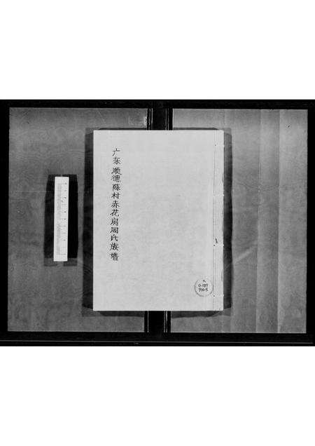 广东周氏族谱-广东顺德陈村赤花房周氏族谱.pdf电子版缩略图