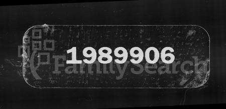 广东陈氏族谱-兴宁老街陈祠族谱.pdf电子版缩略图