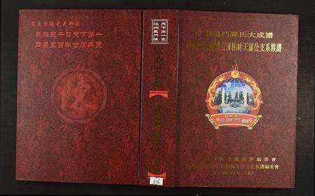 河南陈氏族谱-回归庄河南罗山陈柏林天富公支系族谱.pdf电子版缩略图