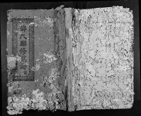 广东邓氏族谱-南阳堂邓氏四修联谱.pdf电子版缩略图