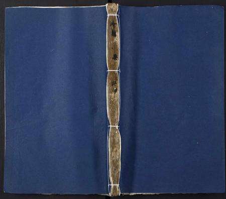 广东方氏族谱-丹桂方氏族谱.pdf电子版缩略图