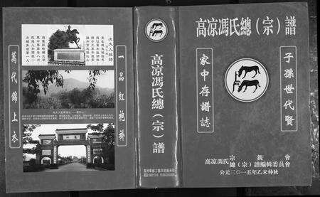 广东冯氏族谱-高凉冯氏总谱.pdf电子版缩略图