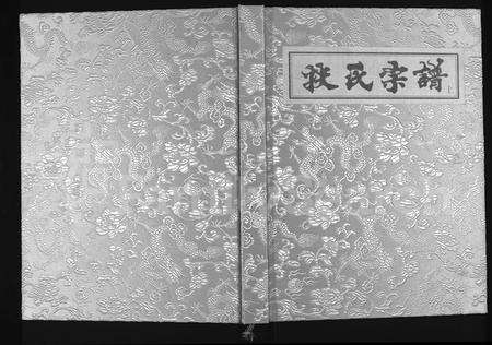 河南扶氏族谱-扶氏宗谱 [3卷].pdf电子版