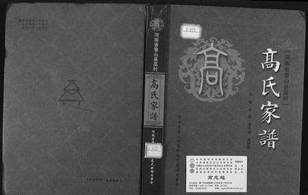 河南高氏族谱-高氏家谱.pdf电子版缩略图