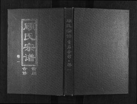 河南顾氏族谱-顾氏宗谱.pdf电子版缩略图