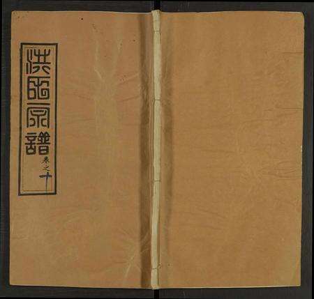 河南、安徽洪氏族谱-洪氏宗谱 [13卷及卷首2卷].pdf电子版缩略图