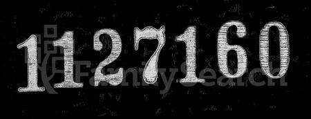 广东孔氏族谱-南海罗格孔氏家谱 [14卷, 含卷首].pdf电子版缩略图