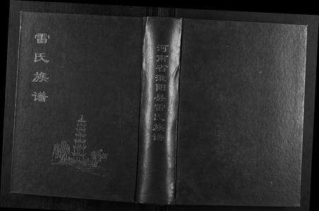 河南雷氏族谱-雷氏族谱.pdf电子版缩略图