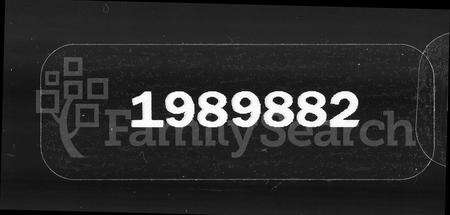 广东李氏族谱-东坑李氏族谱.pdf电子版缩略图