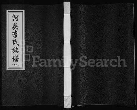 河南李氏族谱-河头李氏族谱 [8卷].pdf电子版缩略图