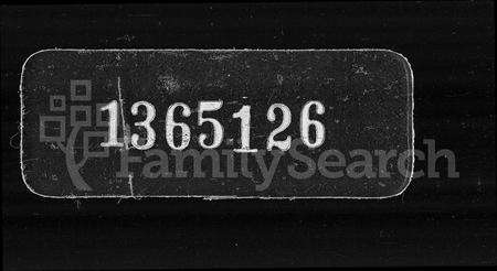 江西、广东、福建廖氏族谱-闽粤赣武威廖氏族谱.pdf电子版缩略图