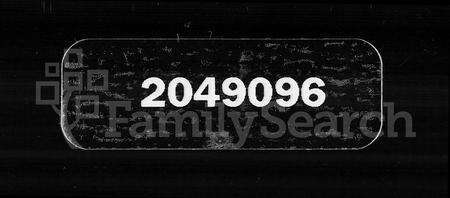 广东刘氏族谱-沙冲刘诒燕堂族谱 [2卷].pdf电子版缩略图