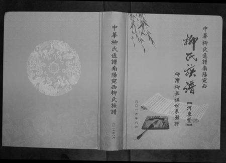 河南柳氏族谱-南阳宛西柳氏族谱[不分卷].pdf电子版缩略图