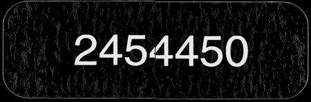 广东罗氏族谱-湖山罗氏族谱 [13卷].pdf电子版缩略图