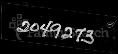 广东罗氏族谱-兴宁东门罗氏族谱 [10卷,首1卷].pdf电子版缩略图