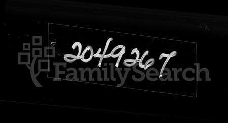 广东罗氏族谱-兴宁高车罗氏家谱 [8卷,首1卷].pdf电子版缩略图