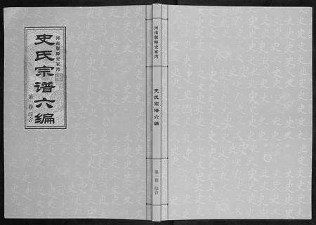 河南史氏族谱-史氏宗谱[9卷].pdf电子版缩略图