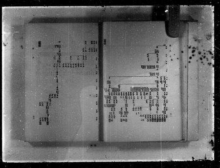 广东谭氏族谱-谭氏志.pdf电子版缩略图