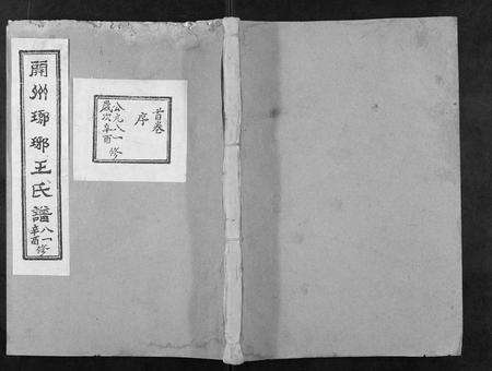 河南王氏族谱-开州琅琊王氏谱.pdf电子版缩略图