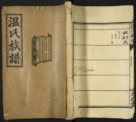 河南温氏族谱-温氏族谱.pdf电子版缩略图