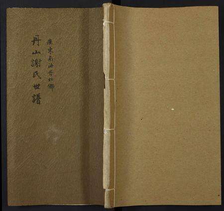 广东谢氏族谱-丹山谢氏世谱.pdf电子版缩略图