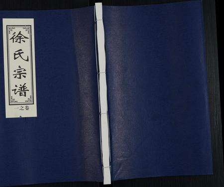 河南徐氏族谱-徐氏宗谱 [10卷].pdf电子版缩略图