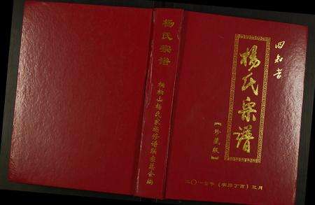 河南杨氏族谱-杨氏宗谱.pdf电子版缩略图