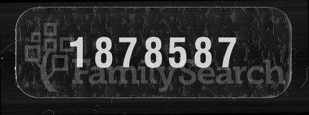 河南易氏族谱-易氏家乘 [卷数杂异].pdf电子版缩略图