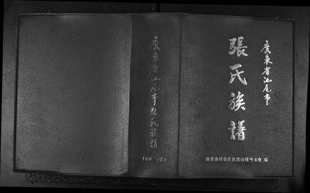 广东张氏族谱-广东省汕尾市张氏族谱.pdf电子版缩略图