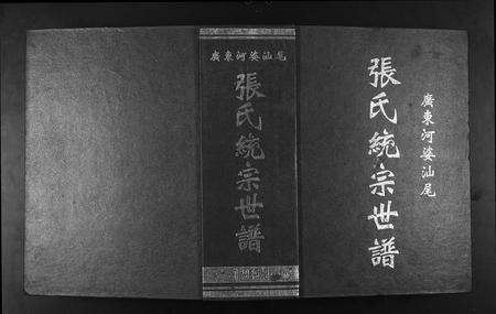 广东张氏族谱-广东省河婆汕尾张氏统宗世谱.pdf电子版缩略图