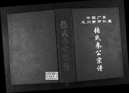 广东张氏族谱-张氏参公宗谱.pdf电子版缩略图