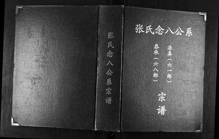 广东张氏族谱-张氏念八公系宗谱.pdf电子版缩略图