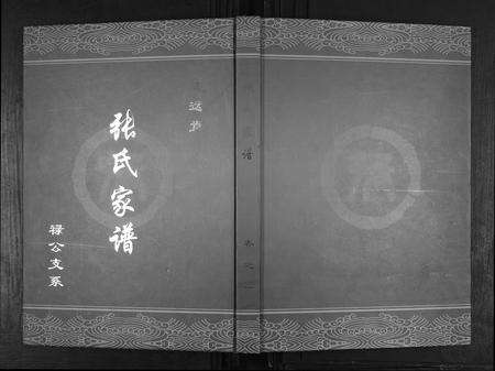 河南张氏族谱-张氏宗谱.pdf电子版缩略图