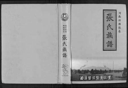 河南张氏族谱-张氏族谱.pdf电子版缩略图